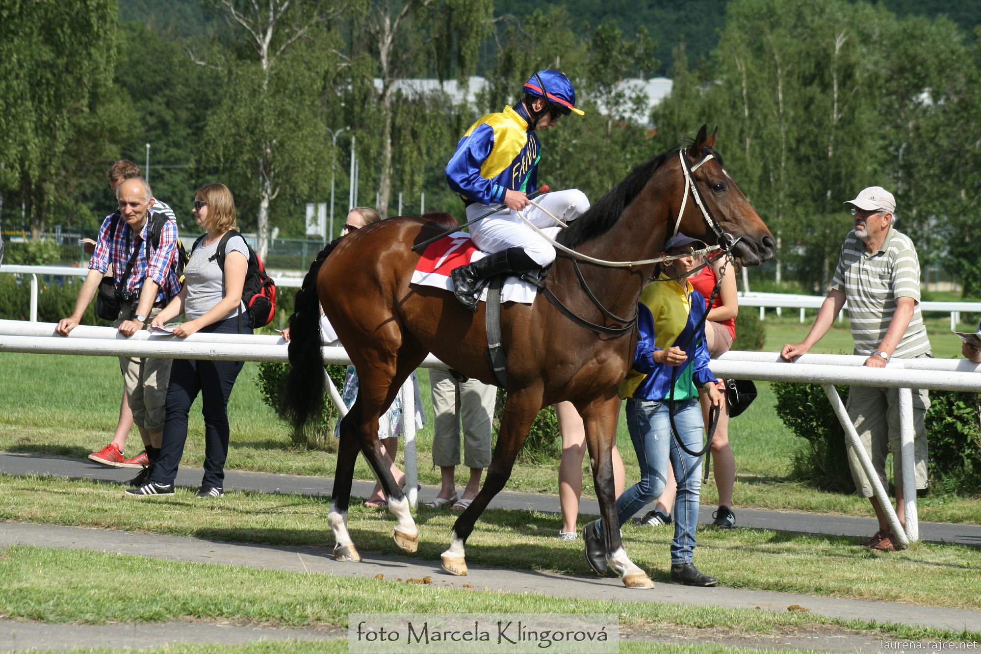 IMG_9316_Nirgera-P.Foret