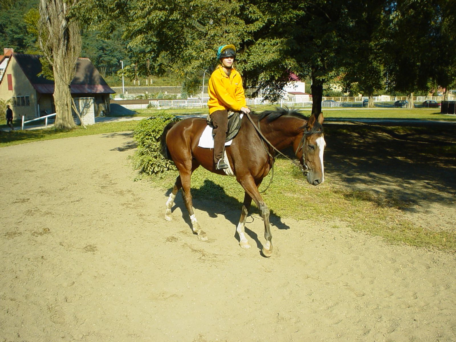 DSC01288.JPG